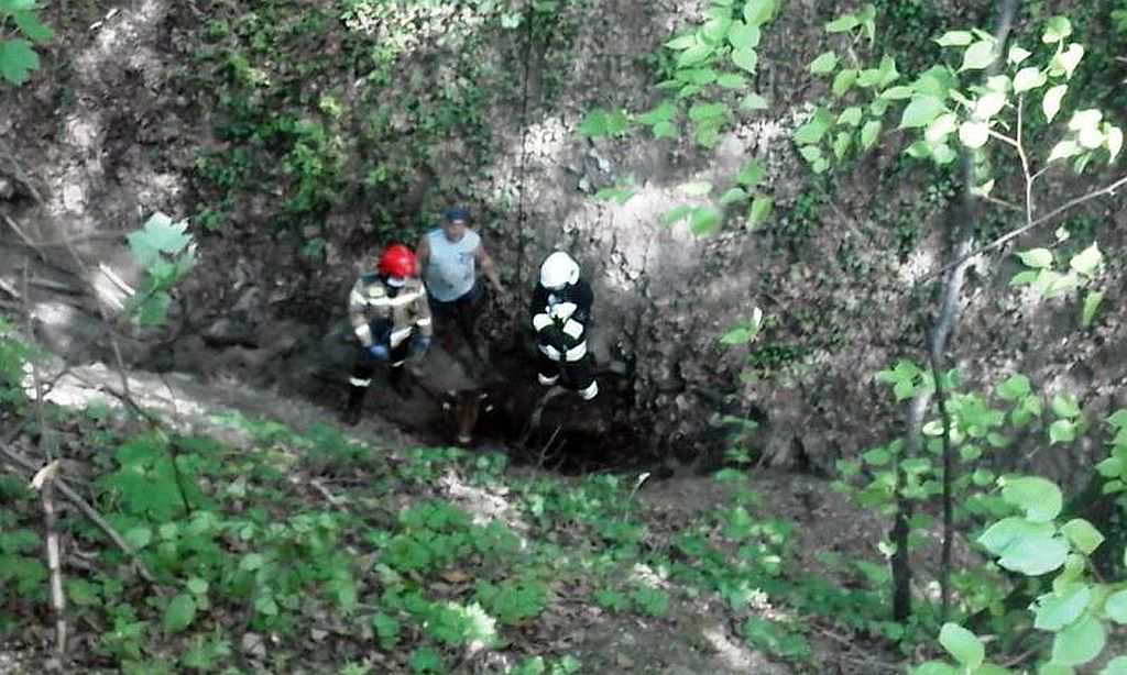 strażacy, małopolskie, wypadek, krowa