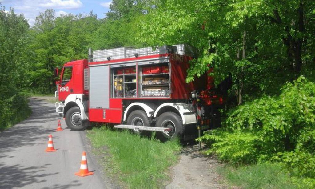 strażacy, małopolskie, wypadek, krowa