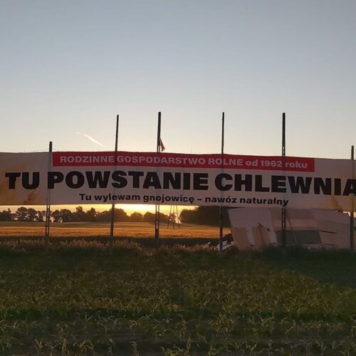 Mściszewo, powiat poznański, budowa chlewni, Gospodarstwo Rolne Adam Świderski