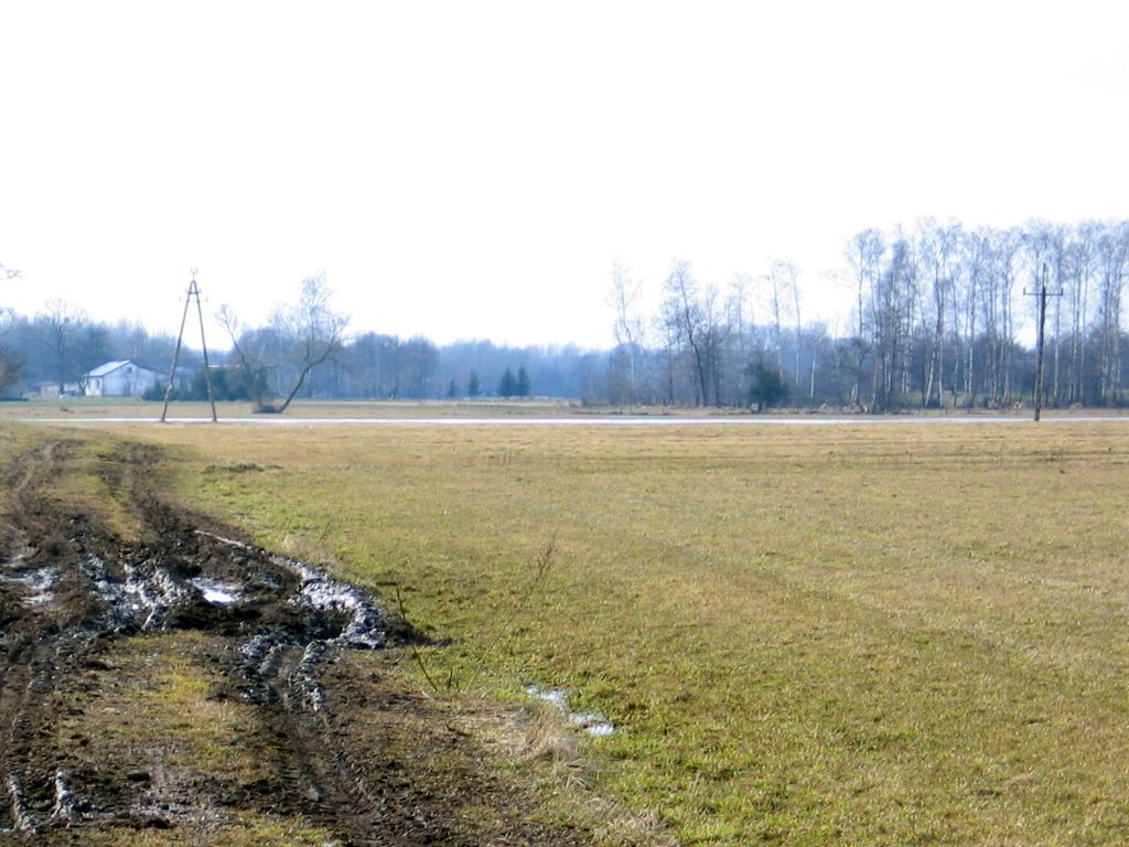 ceny gruntów rolnych, Agencja Nieruchomości Rolnych, sprzedaż ziemi