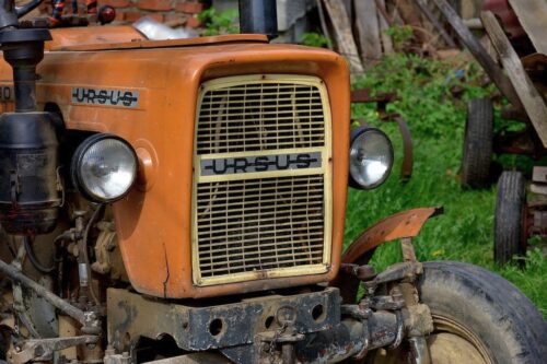 Ursus
