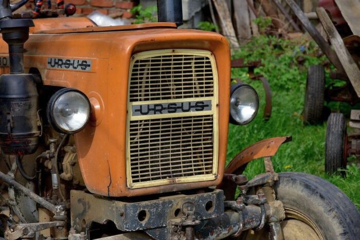 Ursus