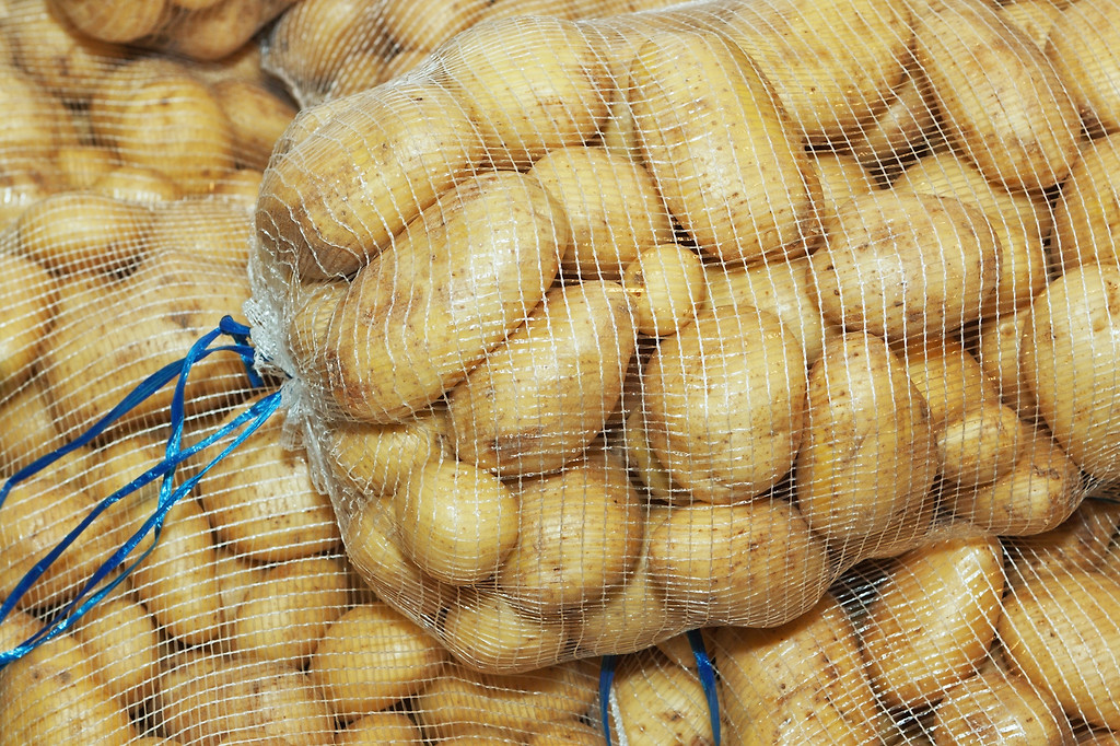 ziemniaki_uprawa