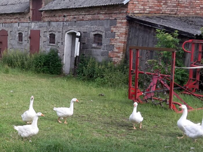 turystyka wiejska, polska organizacja turystyczna, polska wieś, aktywizacja wsi
