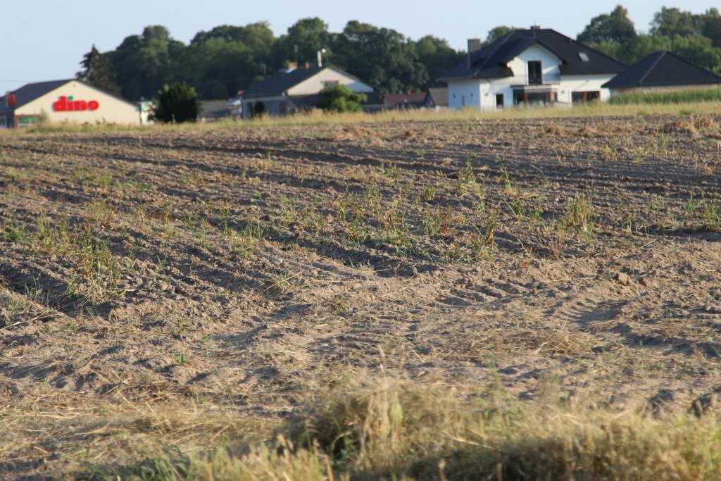 Lasy Państowe, KOWR, prawo, przepisy, nieruchomości, baza nieruchomości skarbu państwa