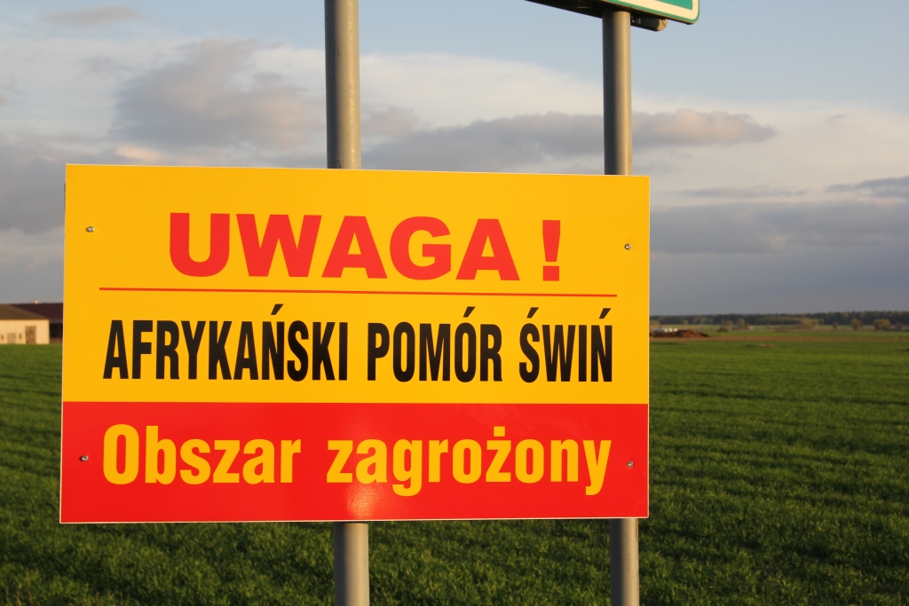 ASF, afrykański pomór świń, Dorota Niedziela, powołanie sejmowej komisji nadzwyczajnej ds. monitorowania walki z wirusem