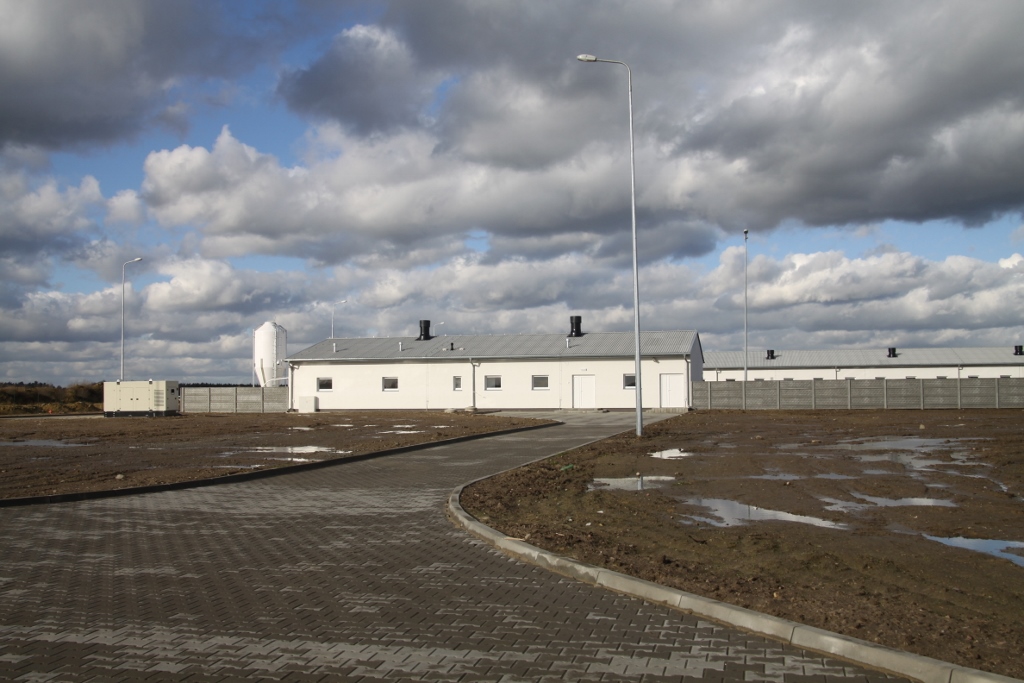 obrońcy praw zwierząt, organizacje prozwierzęce, hodwocy trzody chlewnej, prawa zwierząt, hodowcy zwierząt, świnie