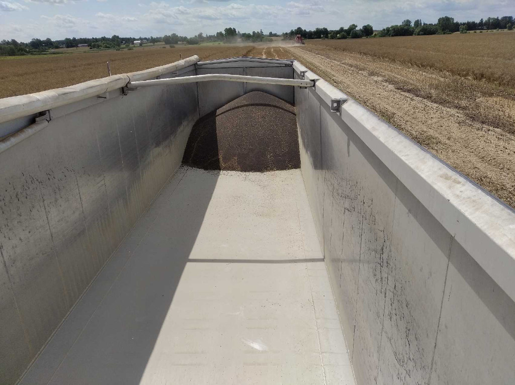 rzepak, przyczepa, kombajn, pole, Sahryń