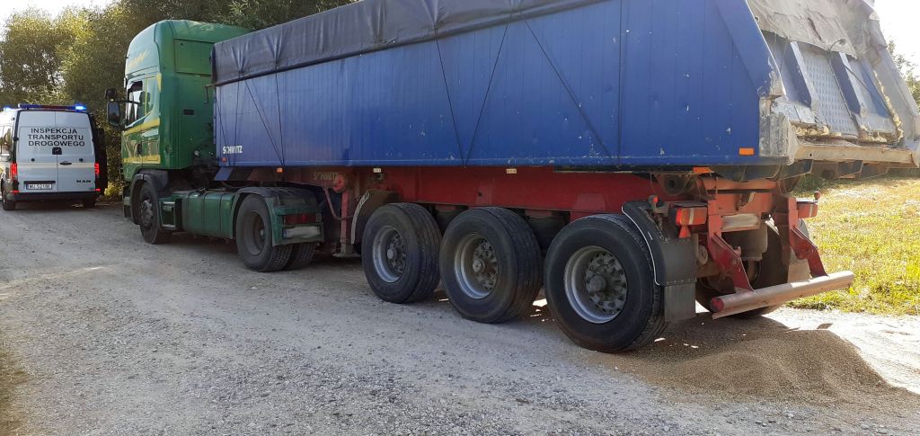 produkcja zbóż, pszenica, zboża paszowe