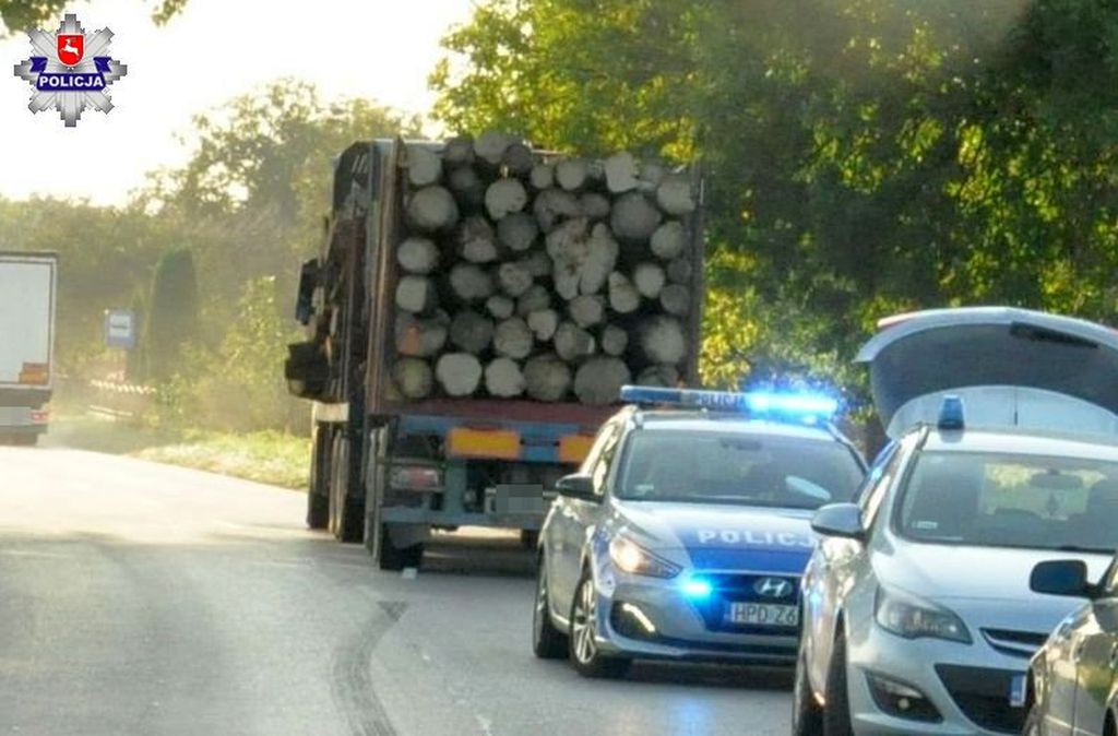 transport drewna, Zubowice-Kolonia, powiat zamojski, Dorota Krukowska-Bubiło
