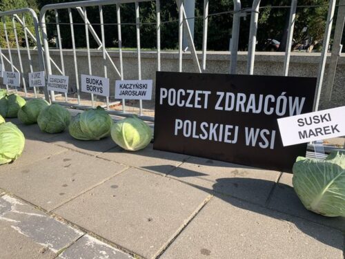 kapusta, warzywa, ministerstwo rolnictwa, Dow AgroSciences Polska, instrukcja, etykieta