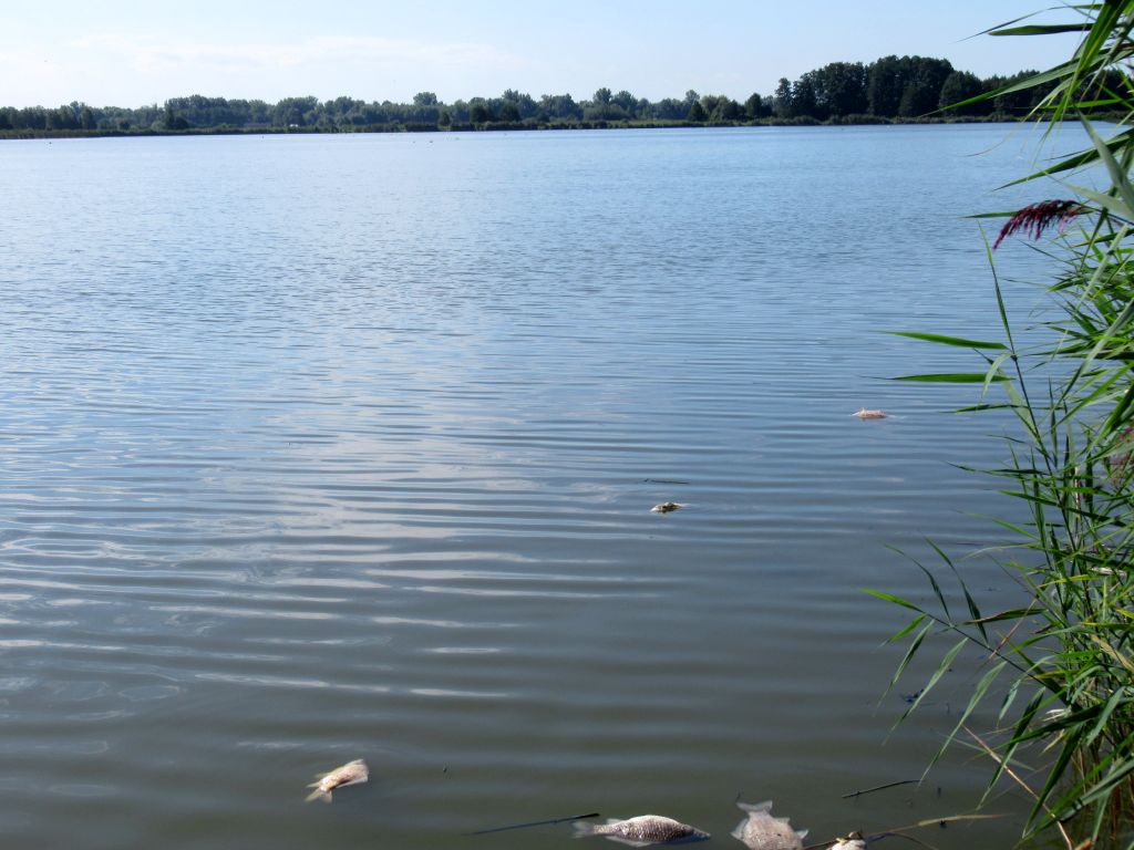 rzeki, prawo wodne, Krajowy Zarządu Gospodarki Wodnej, Wisław, Odra, prawo, przepisy
