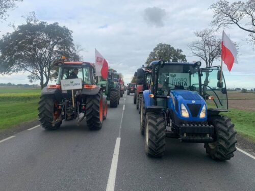 Michał Kołodziejczak, agrounia, protest rolników, piątka dla zwierząt