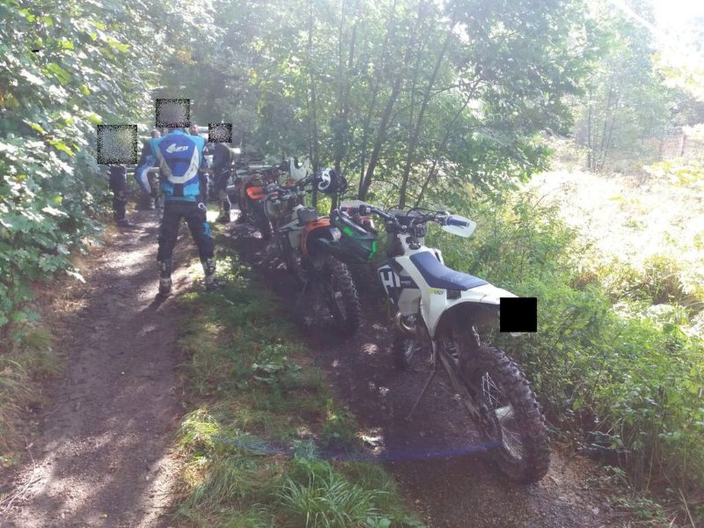 las, ściółka, pożary lasów, susza