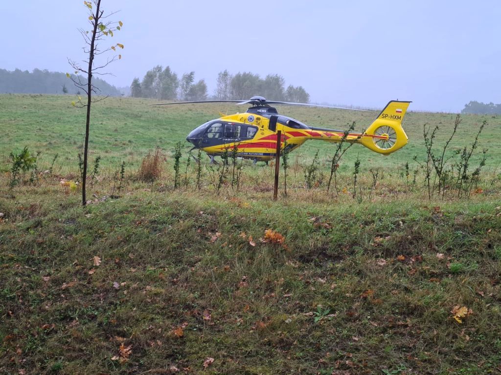 wypadki z udziałem dzieci, wykopki, Nowy Dwór, powiat kościański