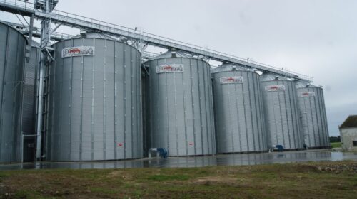 wołek zbożowy, zwalczanie wołka zbożowego, warunki rozwoju wołka zbożowego