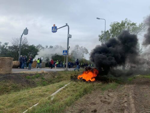 Unia Europejska, Nowy Zielony Ład, bioróżnorodność, rolnictwo, rolnicy, protest rolników, Instytut Gospodarki Rolnej