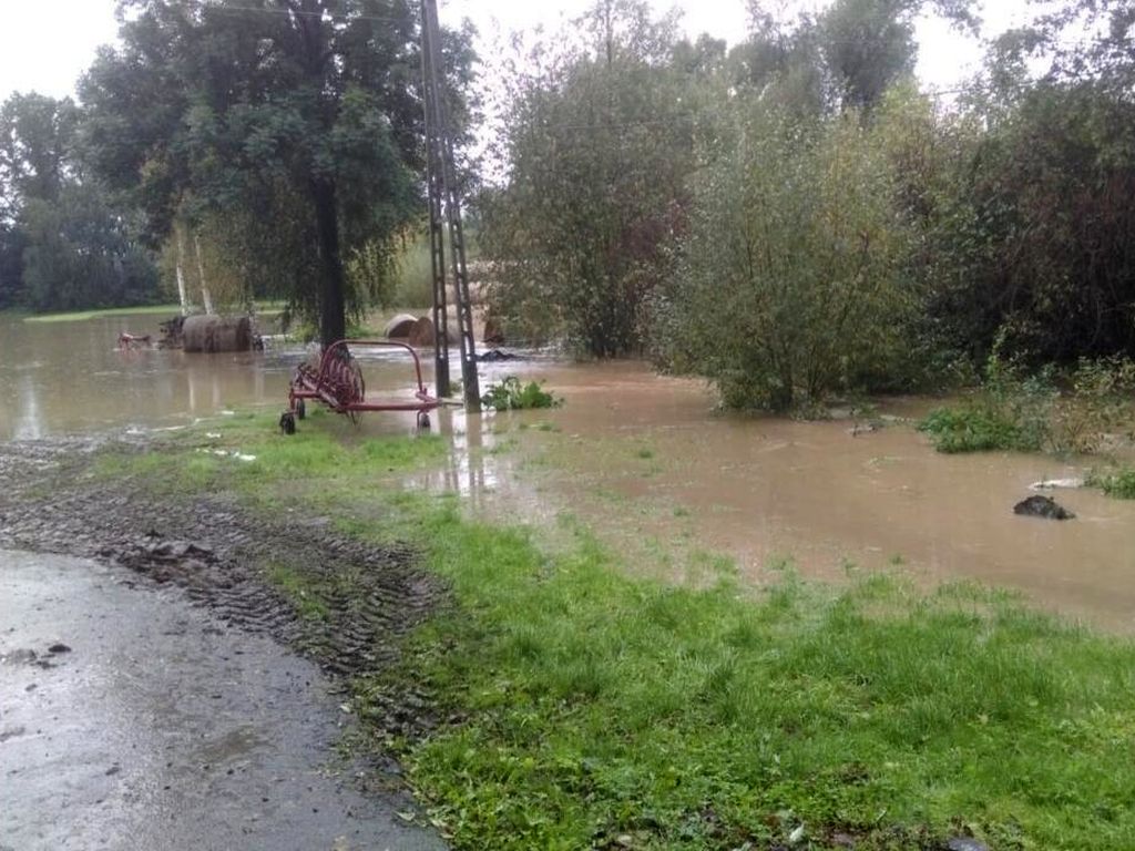 podtopienia gospodarstw, opolszczyzna, dolny śląsk, dolina baryczy, powódź