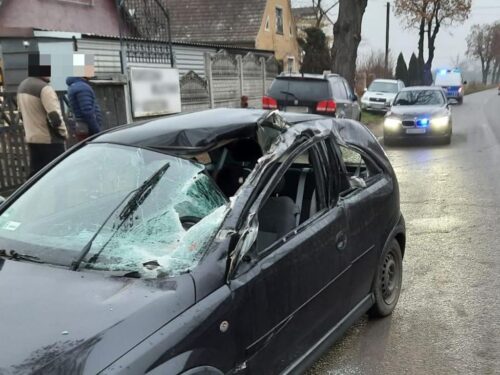 Michałowice, powiat brzeski, brony spadły na samochód, opolszczyzna