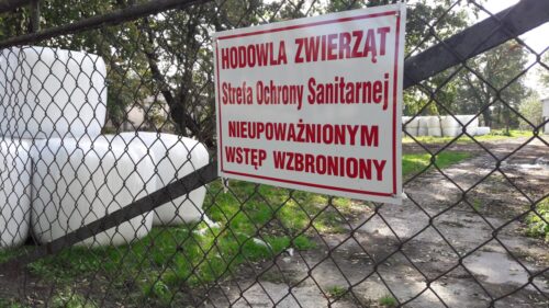 powszechny spis rolny, samospis, spis rolny 2020