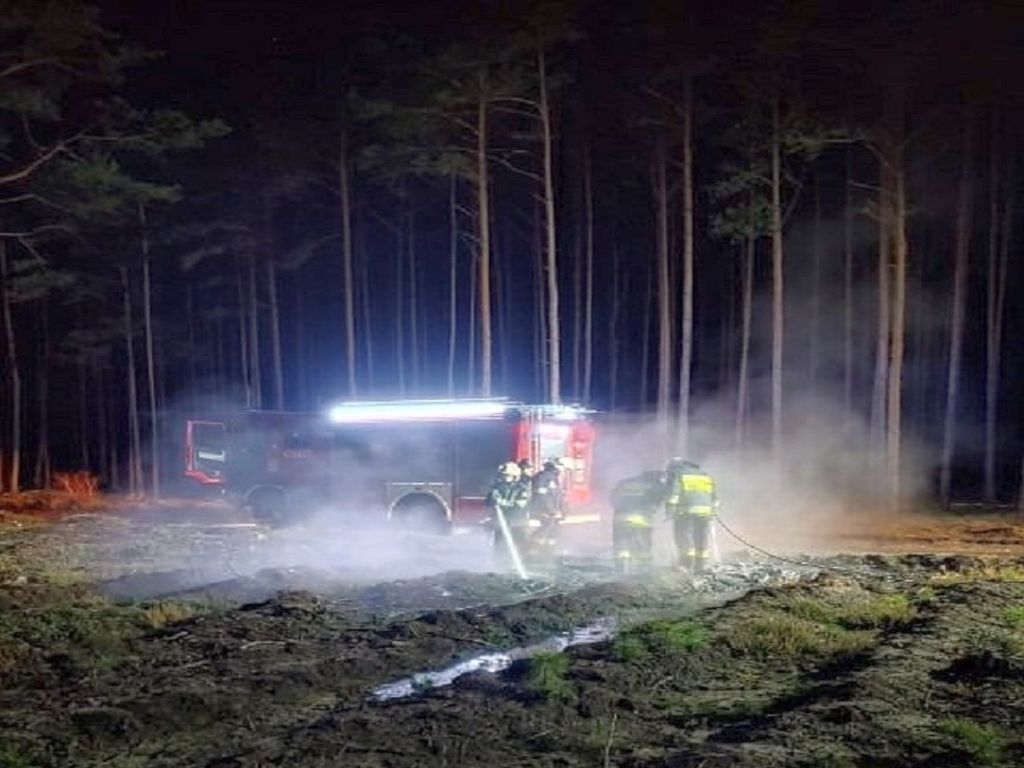 susza w lasach, pożary lasów, niedobór wody, Nadleśnictwo Miękinia, Waldemar Zaremba