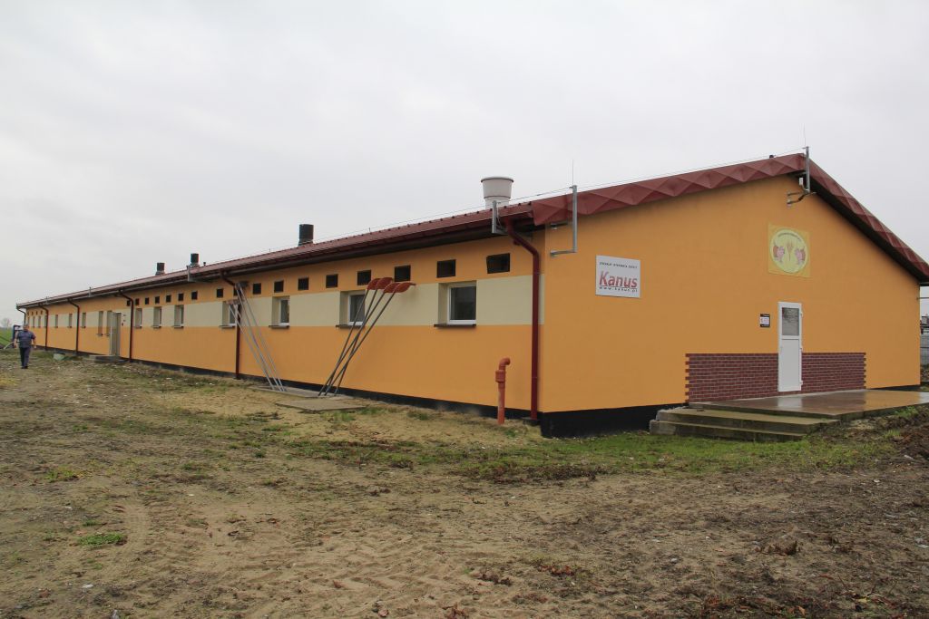 produkcja tuczników, warchlaki, cykl zamknięty, lochy, modernizacja, nowa chlewnia,