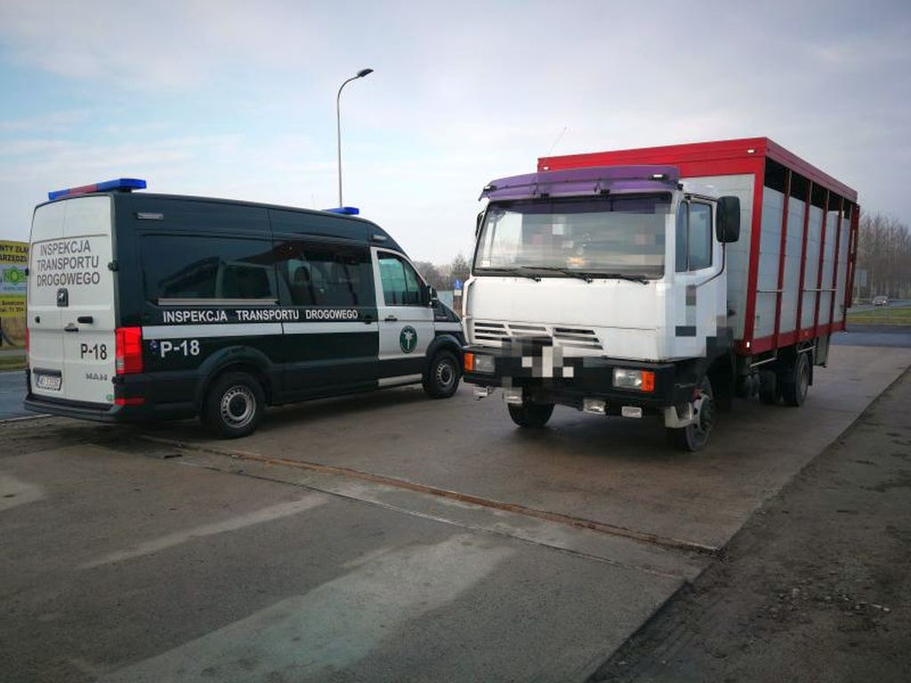 Coraz mniej mięsa koziego i owczego trafia do Wspólnoty
