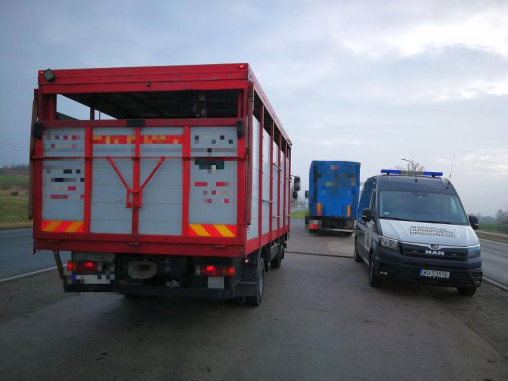 Coraz mniej mięsa koziego i owczego trafia do Wspólnoty