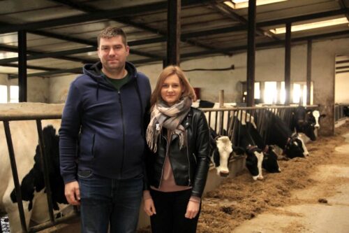 roboty udojowe, bydło mleczne, modernizacja, mleko, obora, robot do podgarniania paszy, stacja paszowa