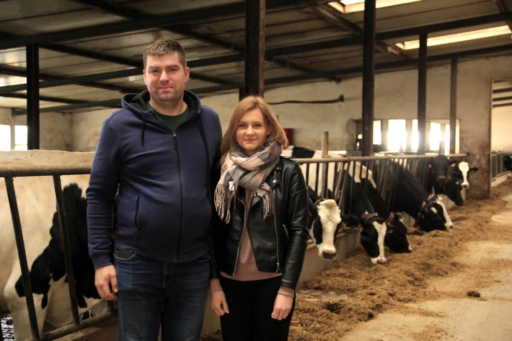 roboty udojowe, bydło mleczne, modernizacja, mleko, obora, robot do podgarniania paszy, stacja paszowa
