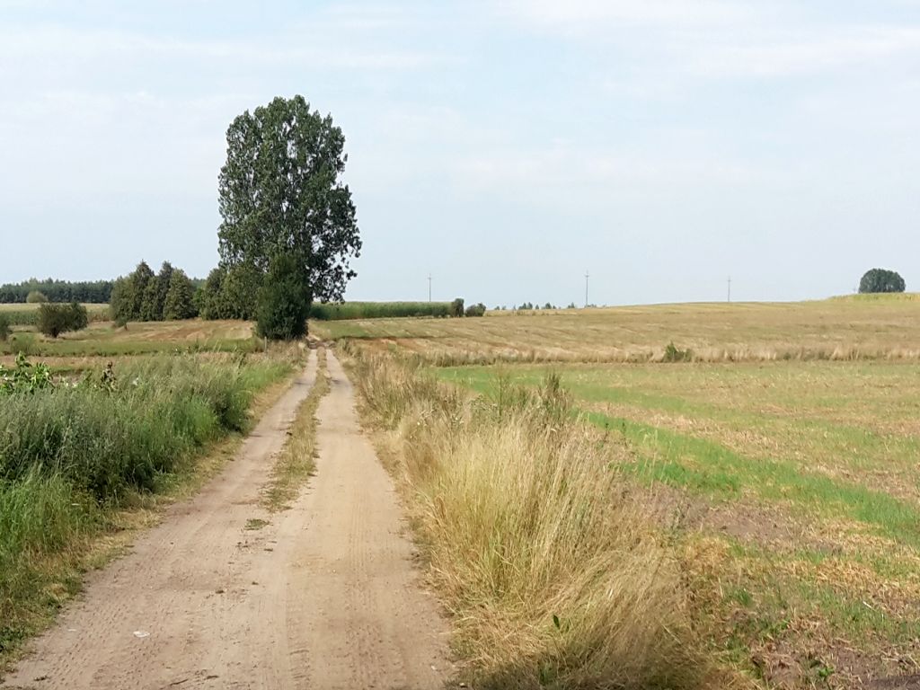 sprzedaż państwowej ziemi, Zasoby Własności Rolnej Skarbu Państwa, dzierżawa ziemi, Ryszard Kierzek