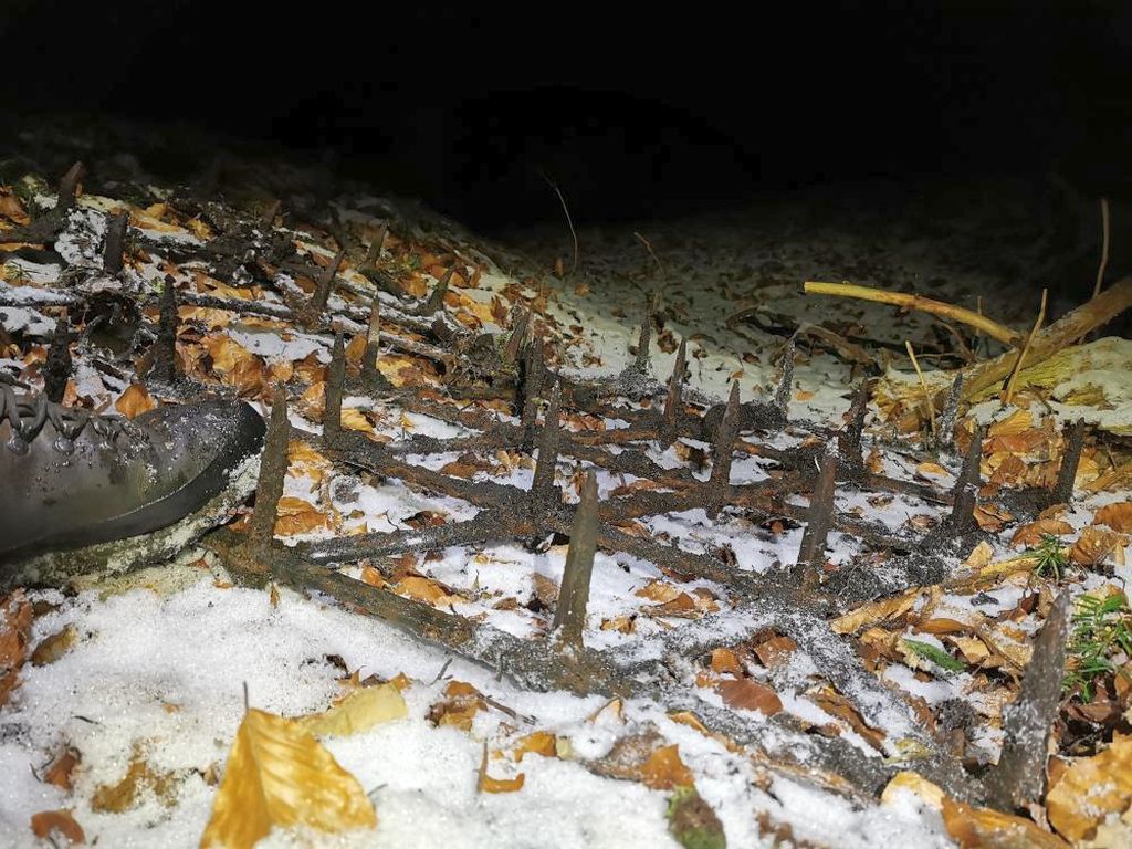 talerzowy agregat uprawowy, brona talerzowa, Pöttinger, Amazone, Lemken