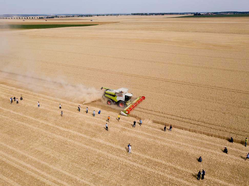 Claas Lexion 770, Horsch Titan 34 UW