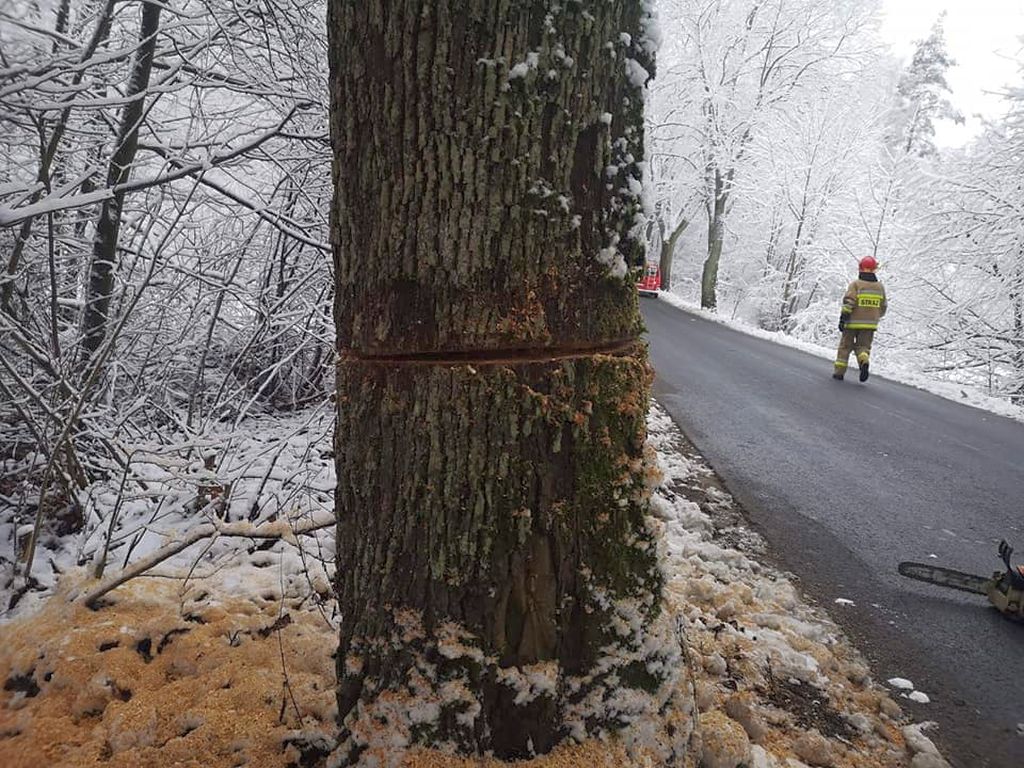 podcinanie drzew przy drogach, pomorskie, OSP
