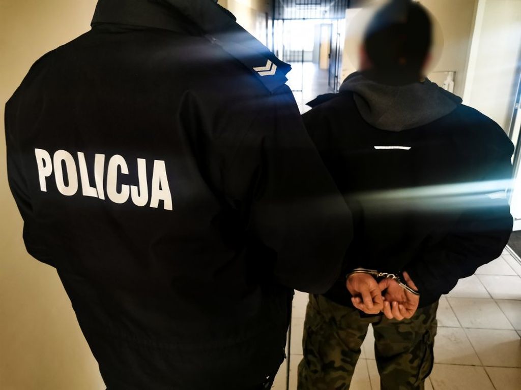 kradzież drewna z lasu, gmina Michałowo, powiat białostocki