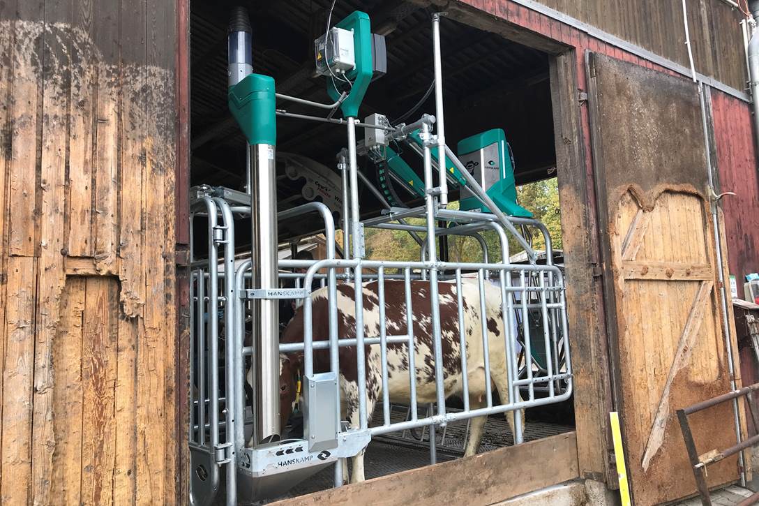 CowToilet holenderskiej firmy Hanskamp