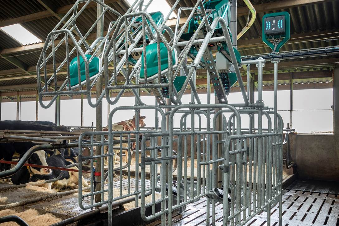 CowToilet holenderskiej firmy Hanskamp