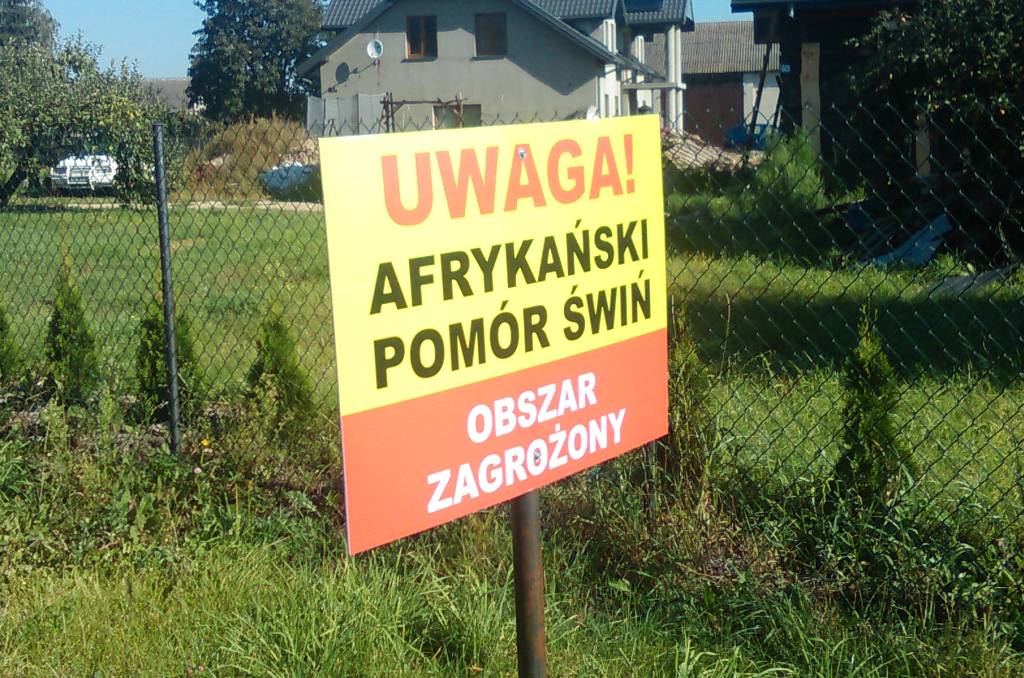 zabezpieczenie gospodarstwa przed ASF, prow 2014-2020, arimr, wsparcie dla rolnictwa