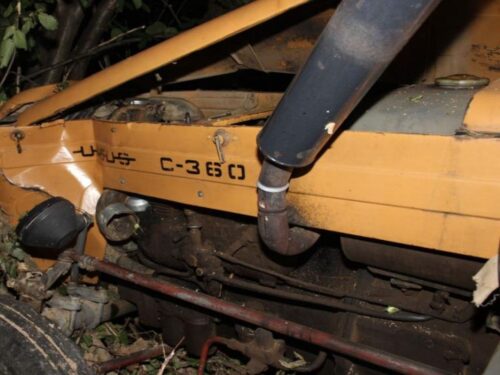 Ursus