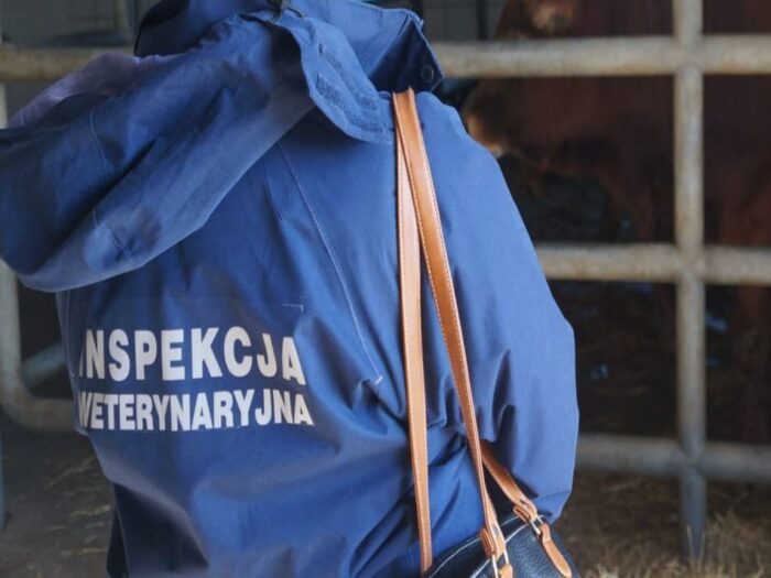 lekarze weterynarii, Krajowa Izba Lekarsko-Weterynaryjna, pandemia COVID-19, Jacek Łukaszewicz