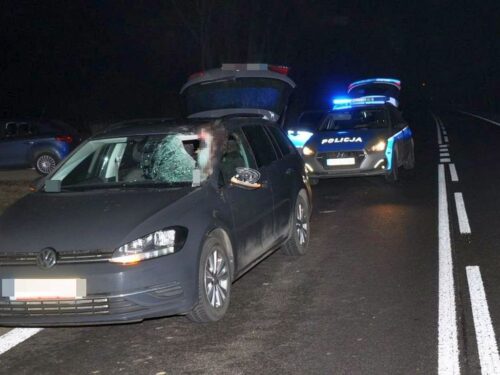wypadek, policja, śmiertelny wypadek, wypadki na wsi, wypadek samochodowy
