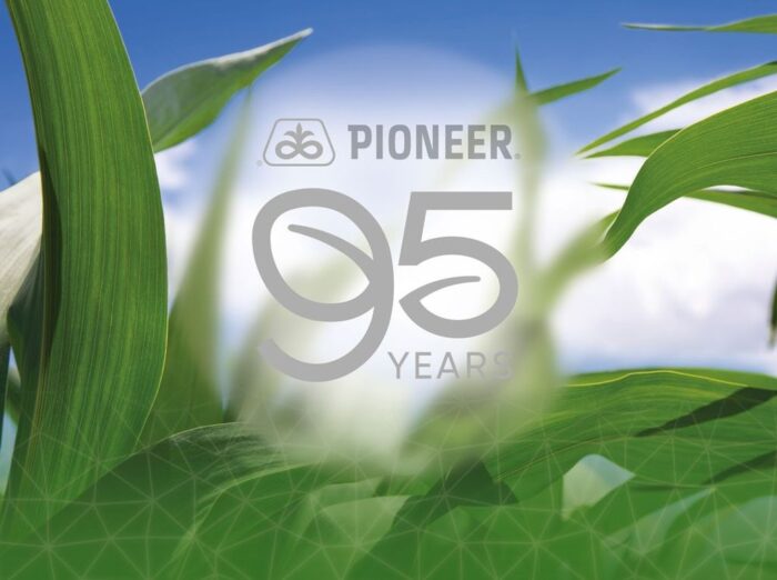 Pioneer®, Corteva Agriscience, kukurydza, firma nasienna, nasiona, odmiany mieszańcowe, rolnictwo
