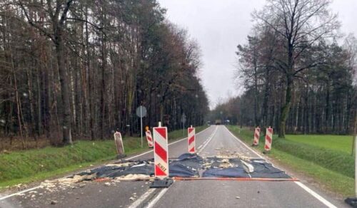 gryp ptaków, Powiat żuromiński, powiat mławski, Jerzy Rzymowski