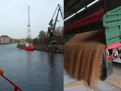 PZPRZ, Stanisław Kacperczyk, port zbożowy, eksport ziarna