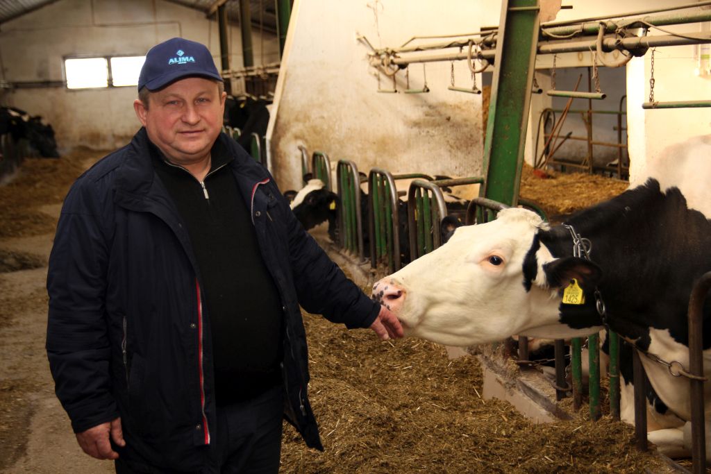 hodowca bydła, krowy mleczne, wóz paszowy, Alima-Bis, produkcja mleka, TMR, jałówki, cielęta, buhajki, białko, kukurydza