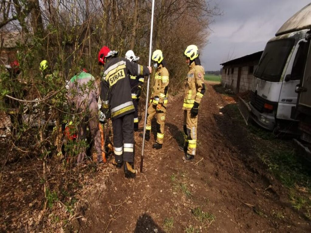 produkcja trzody chlewnej, ceny świń, opłacalność produkcji