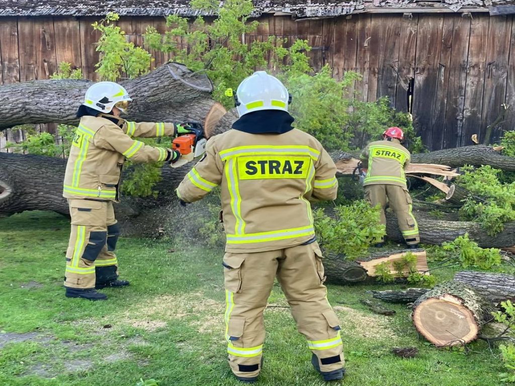 kowr, krajowy ośrodek wsparcia rolnictwa, erolnik, portal interntowy, pszczelarstwo