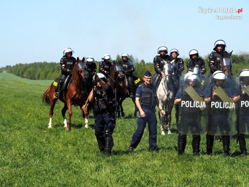 konie, ubezpieczenie konia, koń, ubezpiecz konia, Concordia Ubezpieczenia