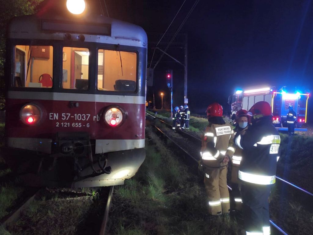 krowy pod pociągiem, bierutów, KP PSP Oleśnica, lekarz weterynarii