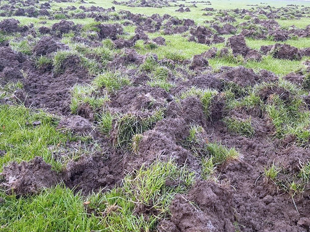 odszkodowania za szkody łowieckie, Prawo łowieckie, Edward Siarka